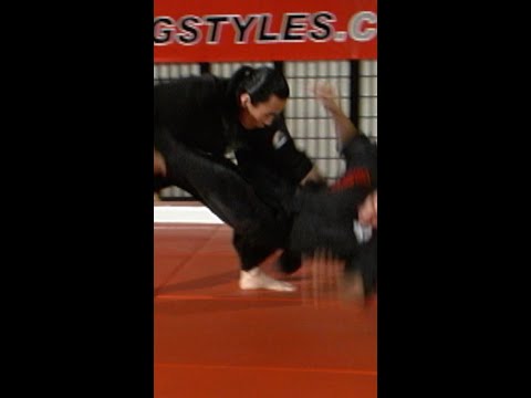 OS Sweep Leg Pick Up Takedown by Hwa Rang Do® Grandmaster Taejoon Lee on www.FightingStyles.com [Video]