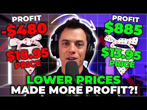 Lower Prices = Higher Profit (Conversion Rate Optimization Strategy) [Video]