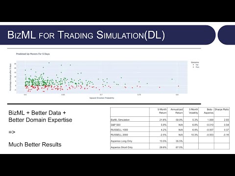 BizML: AI for Business Analytics and Optimization [Video]